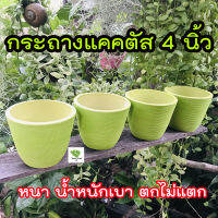 กระถางแคคตัส กระถางต้นไม้ 4 นิ้ว ตกไม่แตก ดีไซน์สวย หนา น้ำหนักเบา?