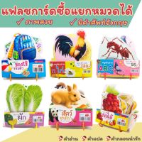 แฟลชการ์ดพื้นฐาน 6 หมวด ? การ์ดคำศัพท์ ? บัตรคำ ? เสริมพัฒนาการ ? flashcard ? ก ไก่ ? ABC ? ของเล่นเด็ก