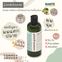 Common Ground Conditioner ครีมนวดผม สารสกัดน้ำมันอะโวคาโด ออร์แกนิก คอมมอน กราวด์ ขนาด 250 ml.