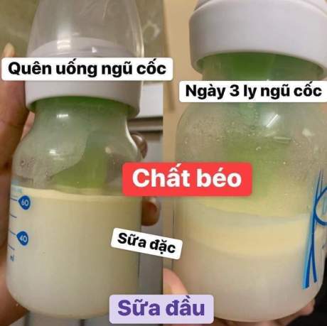 Good-looking [hcm]bột ngũ cốc siêu lợi sữa và siêu sạch bổ dưỡng mẹ ken-loại 1 ký lợi sữa tăng cân giảm cân 4