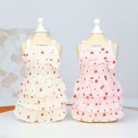 Pet Strawberry Dress Clothes Pet Clothing Dog Clothes Pet Clothes Pet Skirt Spring Summer Strawberry Layered Skirt Cake Skirt Dresses