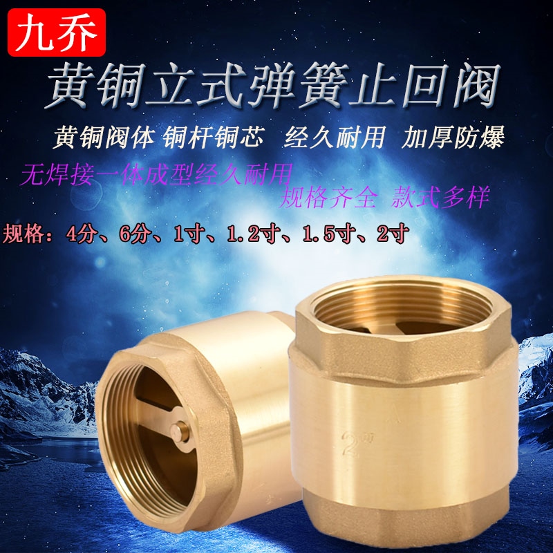 Check Valve Horizontal Type 1/2" 3/4" 1" 1.2" BSP Female One Way Flow Water Pipe 