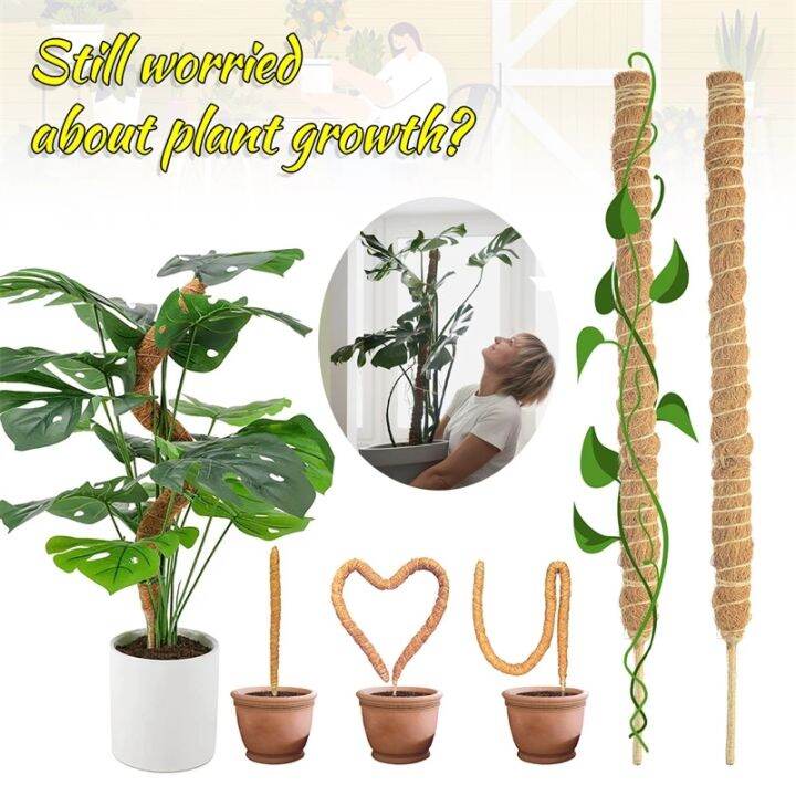 Bent DIY Can Moss Palm Shaped Modeling Coconut Extension Rod Vine Plant ...