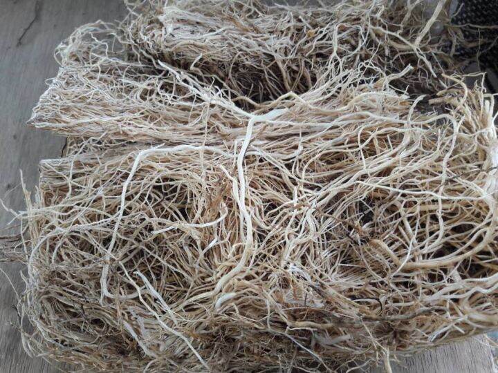 100g [ HERBA ] AKAR KERING Dried Vetiver root/ Akar Wangi Kering Lazada