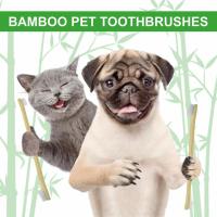 Double Heads Pet Toothbrush Soft Brushing Dogs Cats Teeth Cleaning Freshener Protection Oral Care For Pet Dog Cat Supplies Brushes  Combs