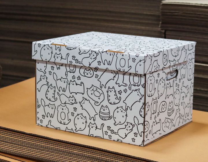 กล่องเก็บเอกสาร-กล่องเอกสารพิมพ์ลายน้องแมว-กล่องเก็บของ-กล่องลายน่ารัก-กล่องลัง-ราคาถูก-กระดาษแข็งแรงพิเศษ-1-ชิ้น