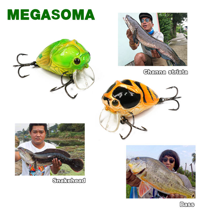 อุปกรณ์ตกปลา-mimix-เหยื่อ-รุ่น-megasoma-เหยื่อปลอม-กบกระโดด-เหยื่อกบ