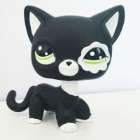 【Chat-support】 Toy Shoy &amp; Stationers ของเล่นแมวขนสั้นของเล่นแมวโดดเด่นเกรทเดน,ฮัสกี้,ดัชชุน,สุนัขเลี้ยงแกะ,ของขวัญวันเกิดของเล่นเด็ก