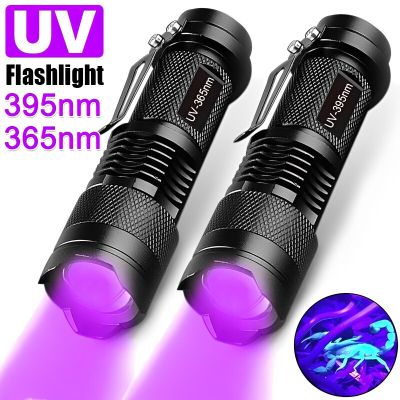UV Flashlight LED Ultraviolet Torch Zoomable Mini Ultra Violet Lights 395/365nm Inspection Lamp Pet Urine Stain Detector Tools Rechargeable Flashlight