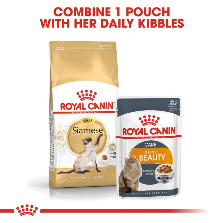 royal-canin-siamese-โรยัล-คานิน-อาหารเม็ดแมวโต-พันธุ์วิเชียรมาศ-อายุ-12-เดือนขึ้นไป-2kg-dry-cat-food