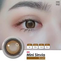 ??โปรสุดเดือด Mini Sinvia Gray/สีเทา [สายตาสั้น -0.00 ถึง -10.00] เลนส์ เล็ก / Mini / คอนแทคเลนส์ / ยี่ห้อ Kitty Kawaii ราคาถูก?? คอนเทนเลนส์ คอนเทคเลนสายตา คอนเทคเลนตาโต แฟชั่น แว่น เลนส์ แว่นสายตา แว่นกันแดด