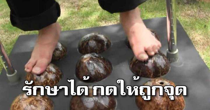 แพ็คคู่ราคาถูก-นวดเท้า-เครื่องนวดเท้า-ที่นวดเท้า-ที่นวดกดจุดฝ่าเท้า-ที่นวดแบบหมุน-4-แถว-ที่นวดเท้าแบบกะลาคู่