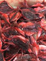 ปลาทูแดง ราคาพิเศษ ราคาพิเศษ ครึ่งกิโลกรัม(500 กรัม) ปลาทู ปลาหวาน นำไปทอดก่อนรับประทาน