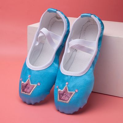 รองเท้าบัลเล่ต์ OEM สำหรับผู้หญิงรองเท้ามงกุฎสีฟ้าเนื้อชมพูพับได้,รองเท้ามืออาชีพคุณภาพสูง