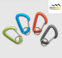 BLACK DIAMOND MICRON ACCESSORY CARABINER SMALL คาราบิเนอร์ (จัดส่งคละสี)