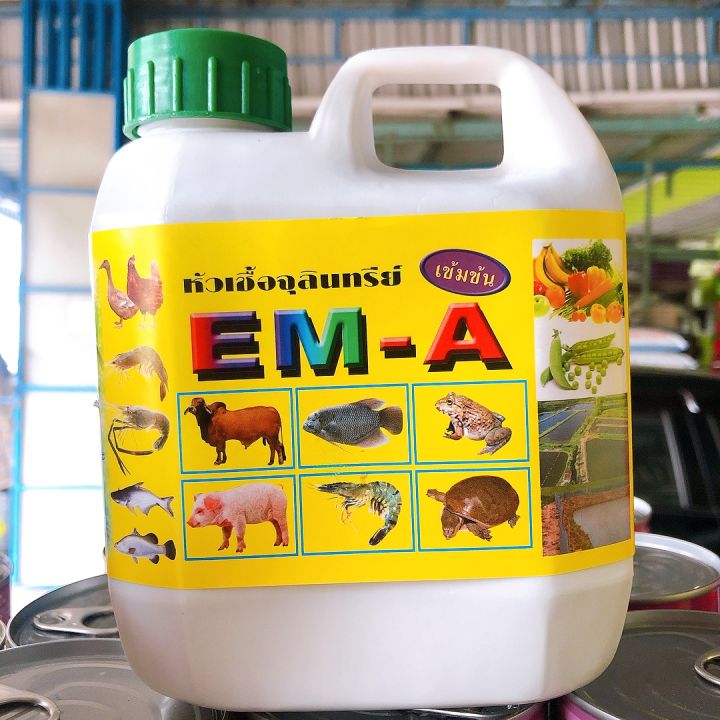 em-อีเอ็ม-หัวเชื้อจุลินทรีย์-สูตรเข้มข้น-ใช้ในฟาร์ม-ปรับสภาพดิน-ปรับสภาพน้ำ-กำจัดกลิ่น-ดับกลิ่น-บำบัดน้ำเสีย