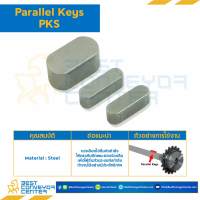 Parallel Key PKS แบบกลม ที่ปลายทั้งสองด้าน เหล็ก/รูเกลียว M4 เหล็กชุบแข็ง