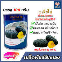 **ส่งฟรี**เมล็ดพันธุ์ฟักทองศรีเมืองทองใหญ่050 ขนาด 100g. ตราเจียไต๋ เมล็ดพันธุ์ เมล็ดพันธุ์กระป๋อง เมล็ดพันธุ์ฟักทอง ฟักทอง