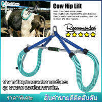 Cow Stand Support Stand Up Assist Device โครงใส่ขาตั้งสแตนเลสสำหรับฟาร์มโคนม