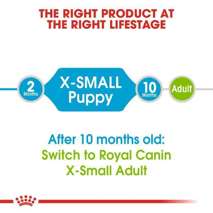 royal-canin-x-small-3-kg-adult-puppy-โรยัล-คานิน-อาหารสุนัข-เม็ดเล็ก-ลูกสุนัข-พันธุ์จิ๋ว-สุนัขโต-พันธุ์จิ๋ว-ผิวหนังและเส้นขน-ป้องกันท้องผูก