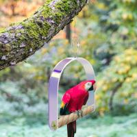 กรงนกแบบฟันปลาของเล่นสำหรับปีนเขาชิงช้าของเล่นสะพานสำหรับนก Parakets Macaws ฟินช์