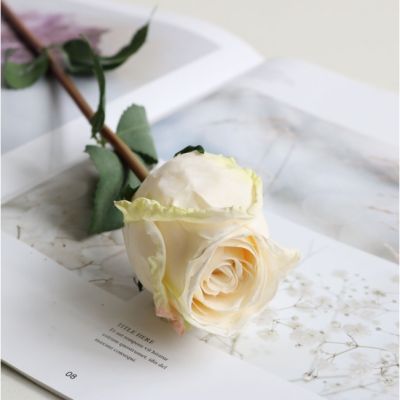 ดอกกุหลาบปลอม (R6) เลียนแบบดอกกุหลาบแห้ง ดอกกุหลาบประดิษฐ์