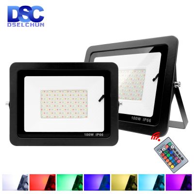 Outdoor RGB Flood Light Lamp 30W 50W 100W AC220V Garden Lighting Floodlight Waterproof Reflector Led Rgb Spotlight with Remote