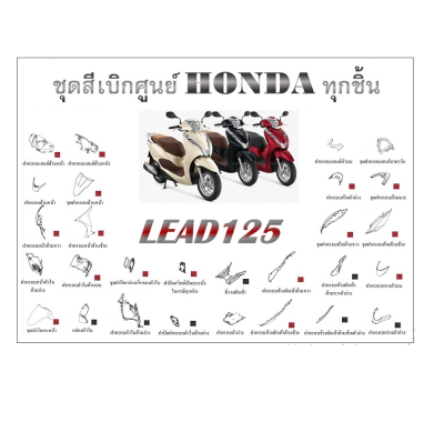 ชุดสี Lead 125 Honda ลีด สินค้าเบิกศูนย์ โดยตรง ศูนย์ฮอนด้า  ชุดสีลีด125 LEAD ระบุสีทางแชทพร้อมส่งรูปรถได้เลยค่ะ
