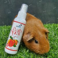 สเปร์ยอาบน้ำแห้ง Petme Bath Spray กลิ่นพีช สำหรับสัตว์เลี้ยงทุกชนิด (กลิ่นพีช)