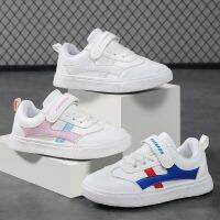 Boys Shoes Campus Kids Classic Style Kid White Childrens From 8 14 Years Simple Girl Cricket Sneakers Soft Sole Shipping Free