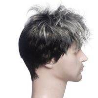 2X Men Short Straight Wig Ombre Grey Black Synthetic Wig for Male Hair Fleeciness Realistic Natural Toupee Wigs