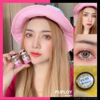 คอนแทคเลนส์ Wink Lens ลาย Puploy สีBrownและGray ส่งด่วน ส่งไว คอนแทคเลนส์แฟชั่นลาย บิ๊กอายตาโต bigeye คอนแทคเลนส์ Contactlens กรองแสง