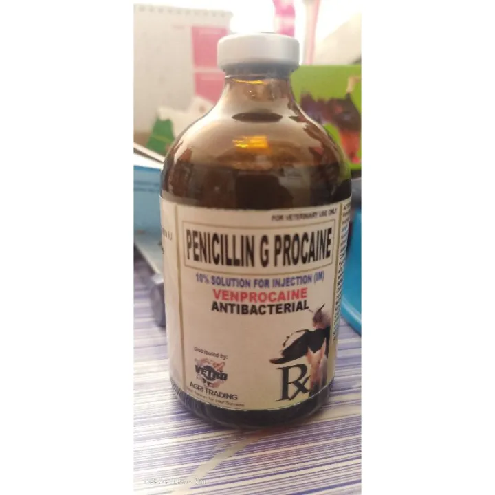 ♂PENICILLIN G PROCAINE 100MLFOR ANIMALS( Safe Ang Alaga Mo Dito ...