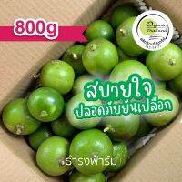 800g+ เก็บใหม่ คัดทุกลูก มะนาวอินทรีย์ (Organic Lime) ปลอดภัยยันเปลือก มะนาวแป้นออร์แกนิค ส่งตรงจากธำรงฟาร์ม