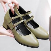 Fashion Thick Heels Mary Jane Women Shoes Comfortable Round Toe Simple Sexy Classic Work Shoes Buckle Elegant Big Size 47 76-12