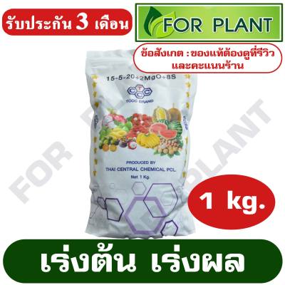 ปุ๋ย สูตร 15-5-20 ตราทีซีซีซี (หัววัว) บรรจุ 1 กิโลกรัม (สินค้าตรงปก) ปุ๋ยเร่งต้น เร่งผล ใส่ผัก ผลไม้ ปุ๋ยไม้ดอกไม้ประดับ