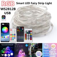 ✥ Smart LED Fairy String Lights RGB USB Remote Bluetooth App Control Garland Strip Light WS2812B IC Christmas Party Lamp Lighting