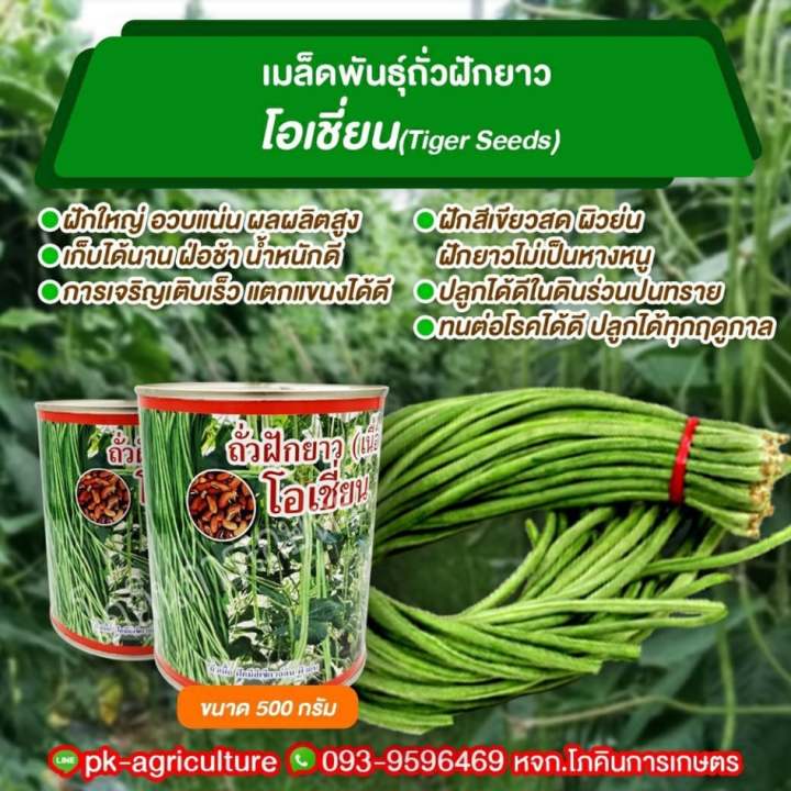 เมล็ดพันธุ์ถัวฝักยาวโอเชี่ยน-ขนาด-500-กรัม