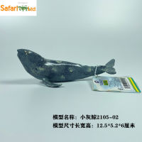 ? Big Player Series~ Safari Exported To America Small Gray Whale Model Collection Solid Simulation Animal Childrens Toys Over Three Years Old