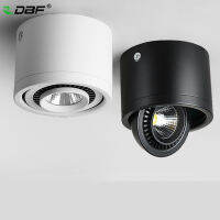 [DBF]360 Degrees Rotatable Dimmable Surface Downlight 5W 7W 9W 15W Ceilin Lights for Home Living room Background Wall