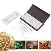 Snake Sex Probes Kit สัตว์เลื้อยคลานเพศ Probes กับปลายกลมและธรรมชาติ Hypoallergenic โลหะงูเพศ Probes เครื่องมือ