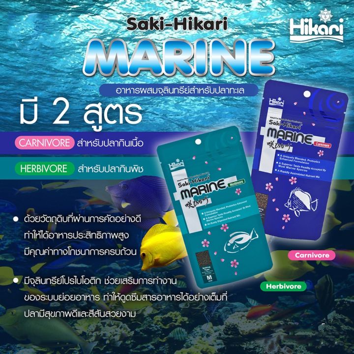 hot-saki-hikari-marine-herbivore-90g-อาหารปลาทะเล-สำหรับปลากินพืช-ส่งด่วน-อาหาร-ปลา-อาหารปลาคราฟ-อาหารปลากัด-อาหารปลาสวยงาม