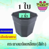 (1ใบ) papamami กระถางพลาสติก กระถางดำ แปดเหลี่ยม 2นิ้ว กระถางปลูกต้นไม้ กระถางต้นไม้ ที่ปลูกต้นไม้ กระถางแค็คตัส กระถางปลูกตอ สีดำ