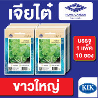 ผักซอง เจียไต๋ CT15 ผักกาด ขาวใหญ่ บรรจุแพ็คล่ะ 10 ซอง ราคา 70 บาท