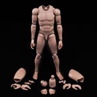 MX02-A /B 1/6ยุโรปผิวชาย Action Figure ตุ๊กตา12 ทหาร Super ยืดหยุ่น Joint Body Fit 1:6หัว Sculpt รุ่น Toy