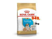 Royal Canin Bulldog Puppy 3 kg อาหารลูกสุนัข พันธุ์บลูด็อก