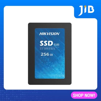 256 GB SSD (เอสเอสดี) HIKVISION E100 (HS-SSD-E100 256G)