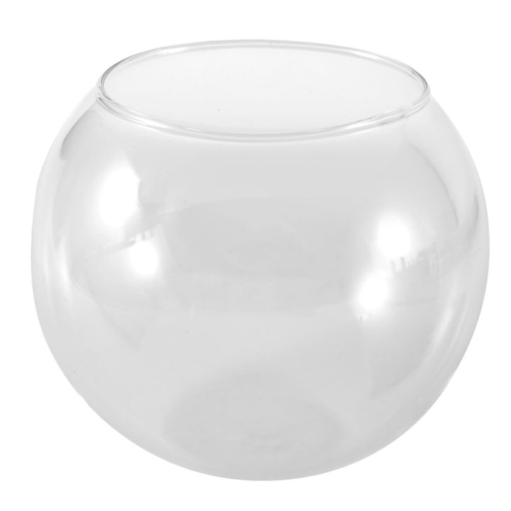 round-sphere-vase-in-transparent-glass-fish-tank