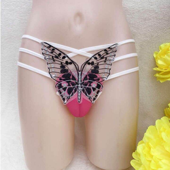 Camel Toe Control Panty Gaff Tucking Panties Butterfly Embroidery Sheer