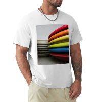 Rainbow Fiesta T-Shirt Quick-Drying T-Shirt For A Funny T Shirts Men Clothes